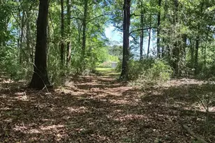 521 Cox Rd, McDavid, FL 32568 - Photo 28