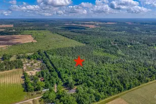 00 Whitfield Rd, Milton, FL 32570 - Photo 1