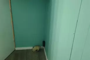 132 Majors Rd, Pensacola, FL 32503 - Photo 14