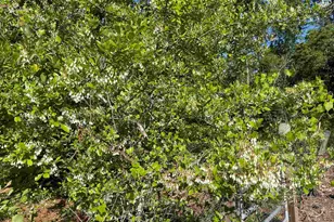 3947 Ward Basin Rd, Milton, FL 32583 - Photo 32