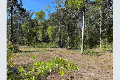 3947 Ward Basin Rd, Milton, FL 32583 - Photo 28