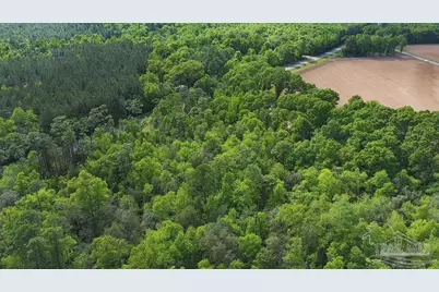 5814 Hwy 4, Jay, FL 32565 - Photo 4