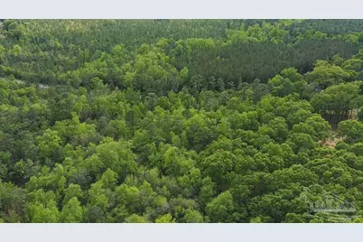 5814 Hwy 4, Jay, FL 32565 - Photo 6