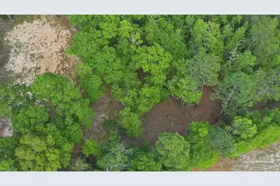 5814 Hwy 4, Jay, FL 32565 - Photo 10