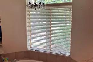 5516 Molino Rd, Molino, FL 32577 - Photo 26