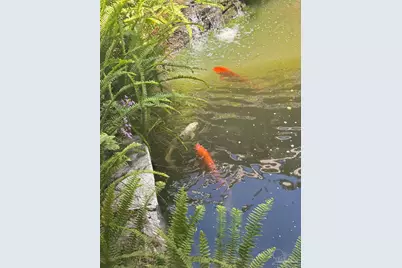 5516 Molino Rd, Molino, FL 32577 - Photo 26