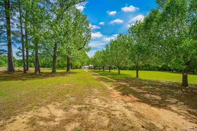 6536 Daniel Griffis Rd, Jay, FL 32565 - Photo 2