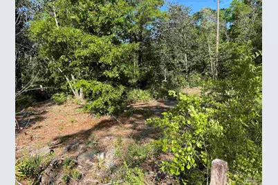 3947 Ward Basin Rd, Milton, FL 32583 - Photo 22