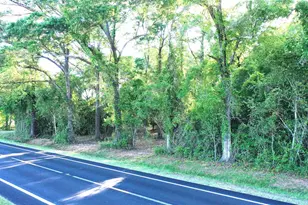 0 Hwy 87, Jay, FL 32565 - Photo 1
