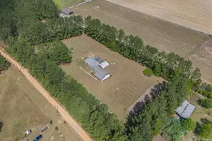 6374 Perfect Acres Rd, Milton, FL 32570 - Photo 38