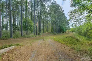 6374 Perfect Acres Rd, Milton, FL 32570 - Photo 52