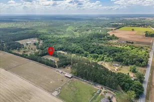 6374 Perfect Acres Rd, Milton, FL 32570 - Photo 58