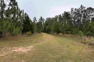 11307 Boundary Line Rd, Milton, FL 32583 - Photo 12