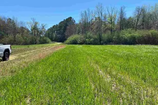 001 Hwy 399, Jay, FL 32565 - Photo 6