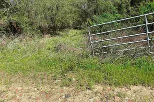 001 Hwy 399, Jay, FL 32565 - Photo 10