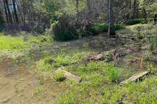 001 Hwy 399, Jay, FL 32565 - Photo 8