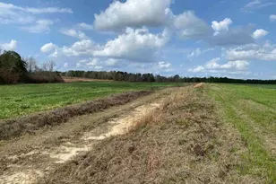 001 Hwy 399, Jay, FL 32565 - Photo 12
