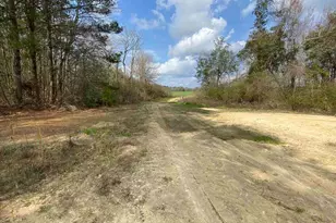 001 Hwy 399, Jay, FL 32565 - Photo 2
