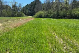 001 Hwy 399, Jay, FL 32565 - Photo 4