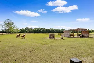 9574 Hwy 89, Jay, FL 32565 - Photo 46