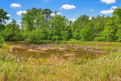 7227 Shelby Ln, Pensacola, FL 32526 - Photo 26