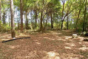 5774 Northrop Rd, Milton, FL 32570 - Photo 36