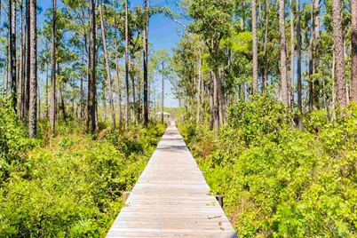 13889 Red Drum Ct, Pensacola, FL 32507 - Photo 50