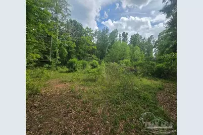 Parcel B 2000 Molino Rd, Molino, FL 32577 - Photo 18