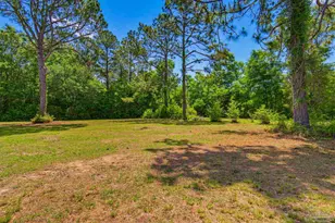 4610 Richardson Rd, Molino, FL 32577 - Photo 48