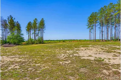 1895 Pineview Church Rd, Jay, FL 32565 - Photo 54