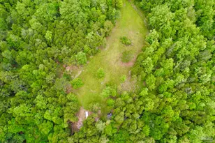 4425 Dream Acres Rd, Molino, FL 32577 - Photo 50