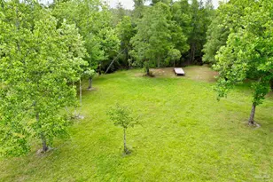 4425 Dream Acres Rd, Molino, FL 32577 - Photo 46