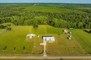 4425 Dream Acres Rd, Molino, FL 32577 - Photo 4