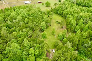 4425 Dream Acres Rd, Molino, FL 32577 - Photo 44