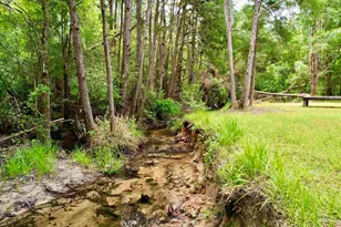 4425 Dream Acres Rd, Molino, FL 32577 - Photo 48