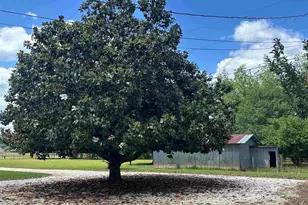5168 Beck Ave, Jay, FL 32565 - Photo 48