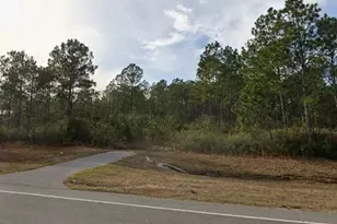 11 55 Acres Avalon Blvd, Milton, FL 32583 - Photo 4