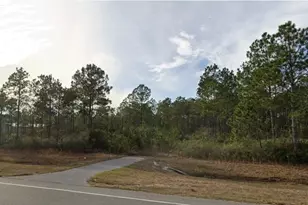 11 55 Acres Avalon Blvd, Milton, FL 32583 - Photo 2