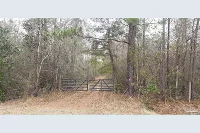 2200 Fannie Rd, Century, FL 32535 - Photo 2
