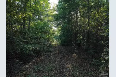2200 Fannie Rd, Century, FL 32535 - Photo 6