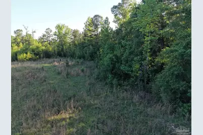 2200 Fannie Rd, Century, FL 32535 - Photo 12