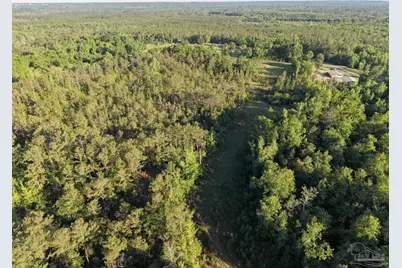 2200 Fannie Rd, Century, FL 32535 - Photo 20