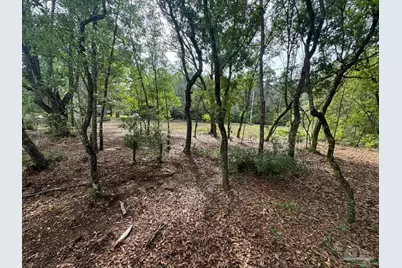 5816 Shady Bayou Ln, Milton, FL 32583 - Photo 4