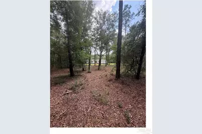 11226 N Lakeview Dr, Milton, FL 32583 - Photo 58