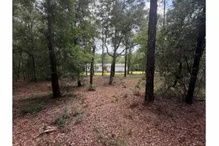 11226 N Lakeview Dr, Milton, FL 32583 - Photo 58
