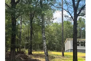 11226 N Lakeview Dr, Milton, FL 32583 - Photo 50