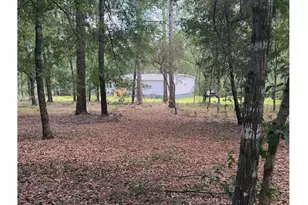 11226 N Lakeview Dr, Milton, FL 32583 - Photo 52