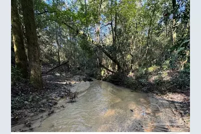 85+/- Acres Wiley Scott Rd, Jay, FL 32565 - Photo 2