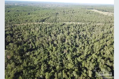 85+/- Acres Wiley Scott Rd, Jay, FL 32565 - Photo 8