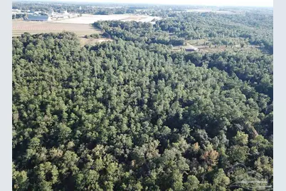 85+/- Acres Wiley Scott Rd, Jay, FL 32565 - Photo 6